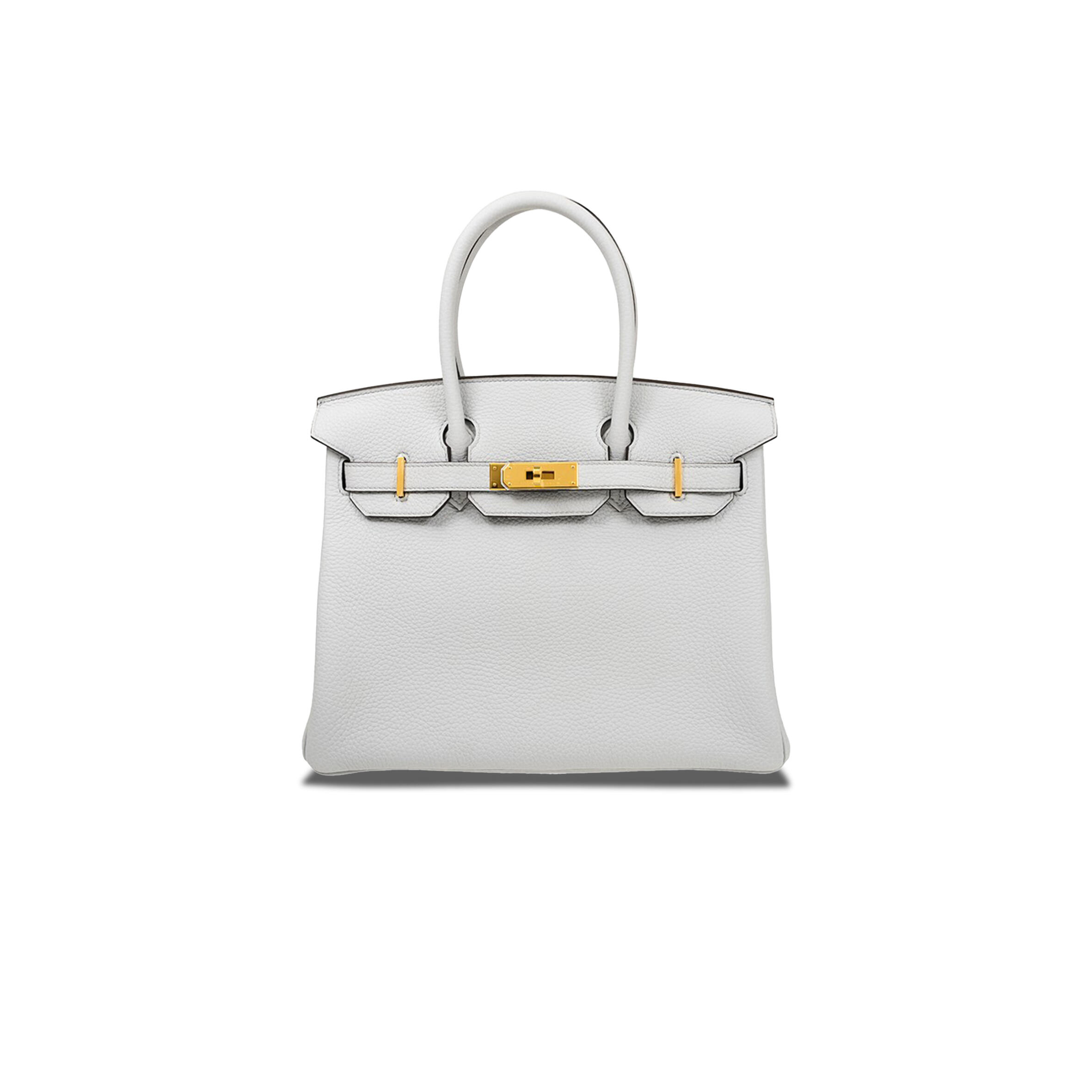 H**me5 BIRKIN 25 TOGO LEATHER HOLY GRAIL BLUE GOLD BUCKLE BAG H028369CC08 (25*20*13cm) Master Quality